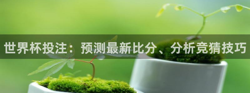 看世界杯：世界杯投注：预测最新比分、分析竞猜技巧
