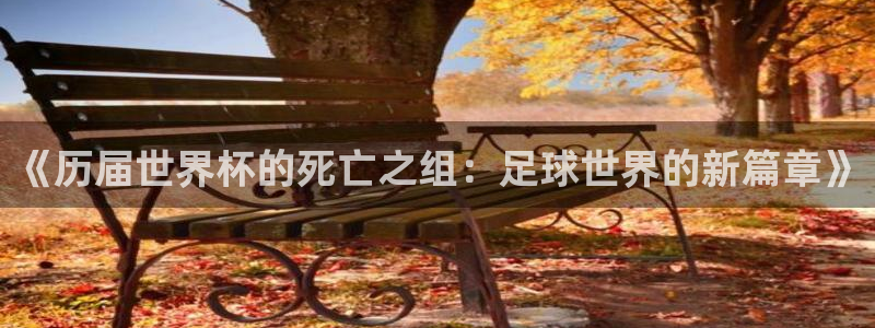 2026世界杯预选赛：《历届世界杯的死亡之组：足球世界的新篇章》