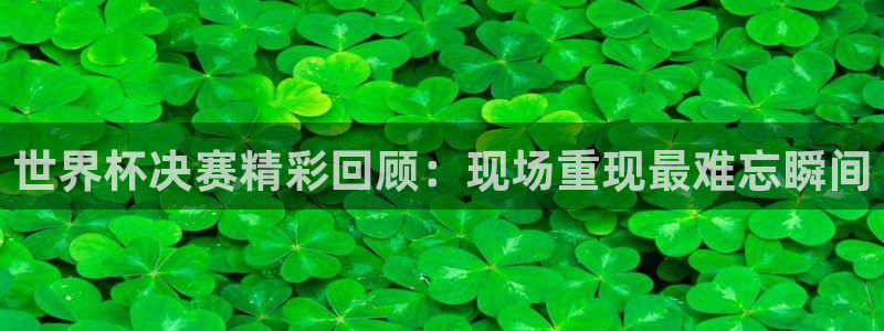 世界杯预选赛亚洲：世界杯决赛精彩回顾：现场重现最难忘瞬间