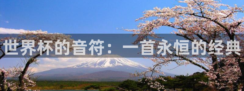 世界杯2026比赛时间表：世界杯的音符：一首永恒的经典