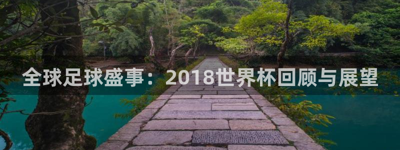 世界杯足球赛：全球足球盛事：2018世界杯回顾与展望
