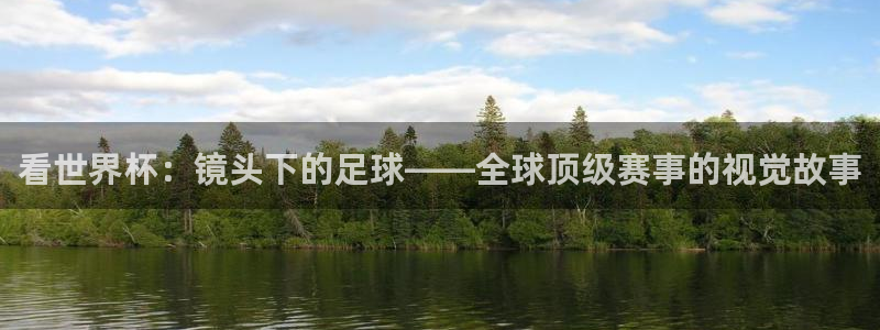 看世界杯：看世界杯：镜头下的足球——全球顶级赛事的视觉故事