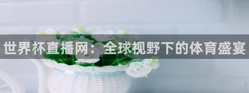 英足总杯直播：世界杯直播网：全球视野下的体育盛宴