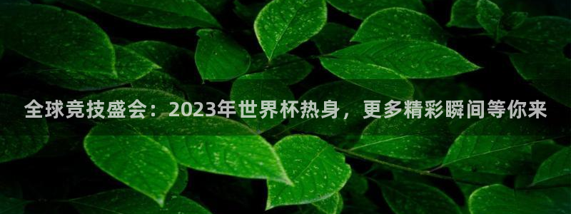 世界杯决赛预测：全球竞技盛会：2023年世界杯热身，更多精彩瞬间等你来