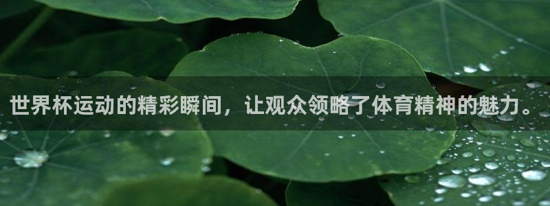 世界杯直播网站：世界杯运动的精彩瞬间，让观众领略了体育精神的魅力。