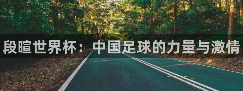 2026世预赛赛程：段暄世界杯：中国足球的力量与激情