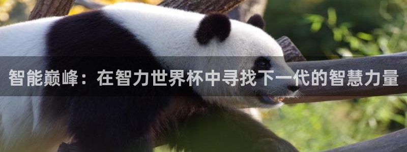 世界杯球队排名：智能巅峰：在智力世界杯中寻找下一代的智慧力量