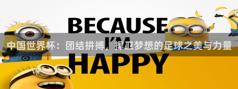 世界杯决赛直播：中国世界杯：团结拼搏，捍卫梦想的足球之美与力量