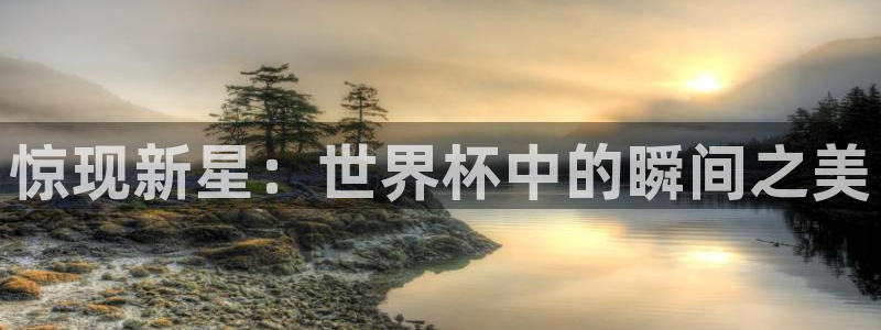 2026世界杯南美区积分榜：惊现新星：世界杯中的瞬间之美