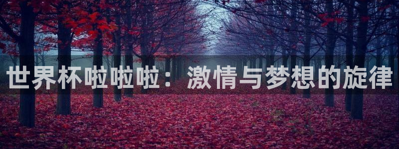 世界杯球队：世界杯啦啦啦：激情与梦想的旋律