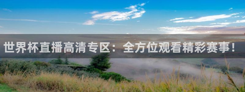 世界杯足球比赛：世界杯直播高清专区：全方位观看精彩赛事！