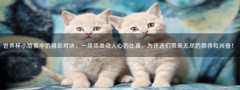 足球世界杯时间：世界杯小组赛中的精彩对决：一场场激动人心的比赛，为球迷们带来无尽的期待和兴奋！